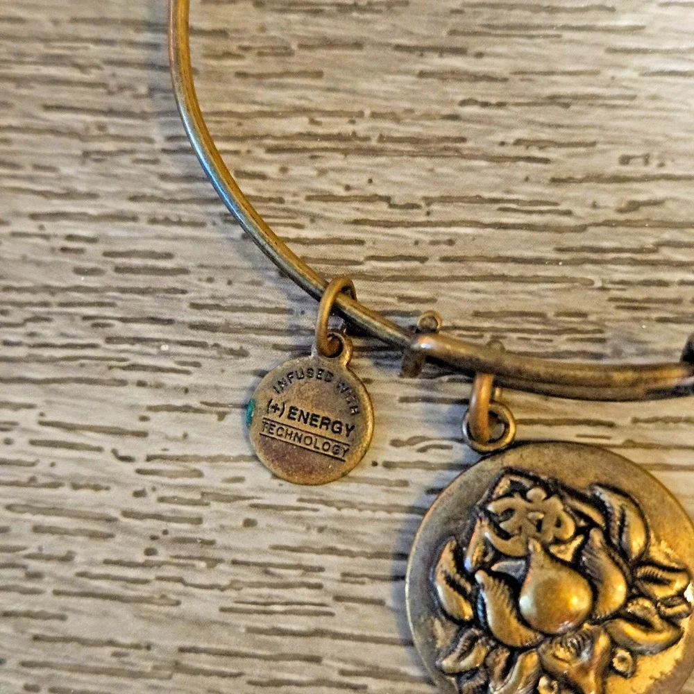 Alex And Ani Lotus Peace Petals Rafaelian Charm Bangle Bracelet